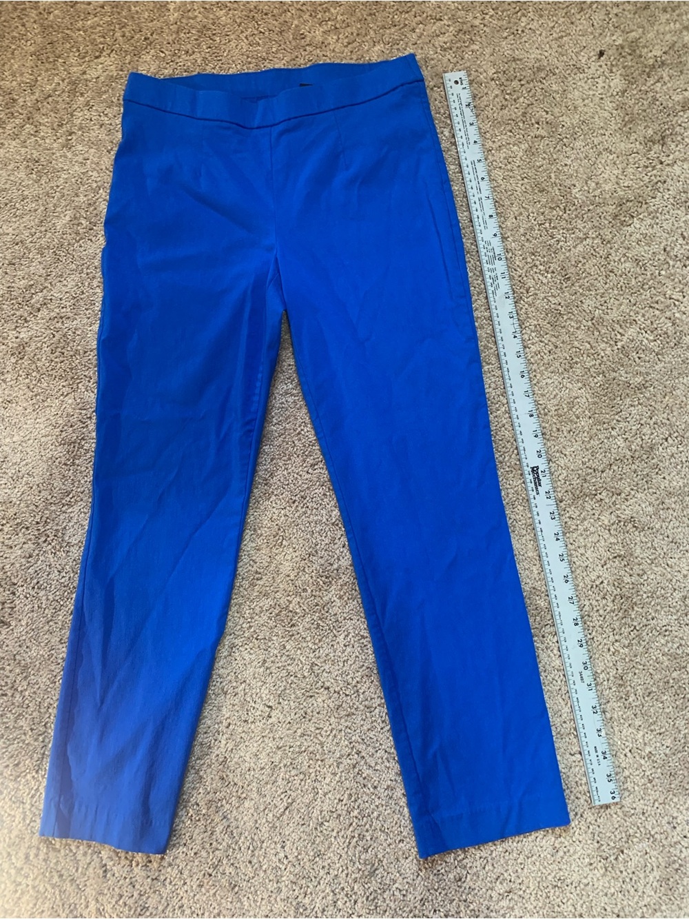 Briggs New York Electric Blue Women's Pants